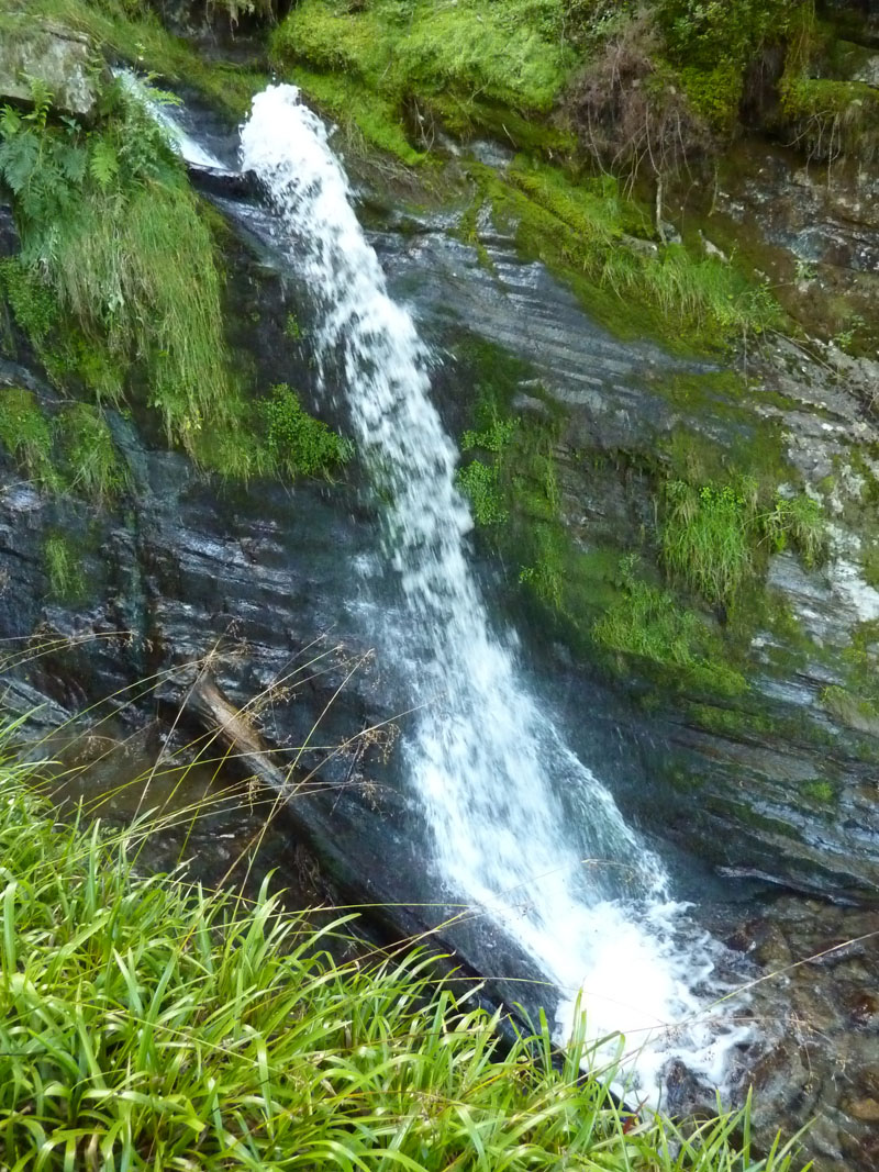 Holme Force